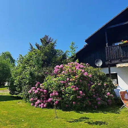 Ferienwohnung Martin Thalfang Buitenkant foto